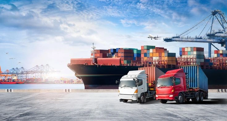 Import & Export Consolidation
