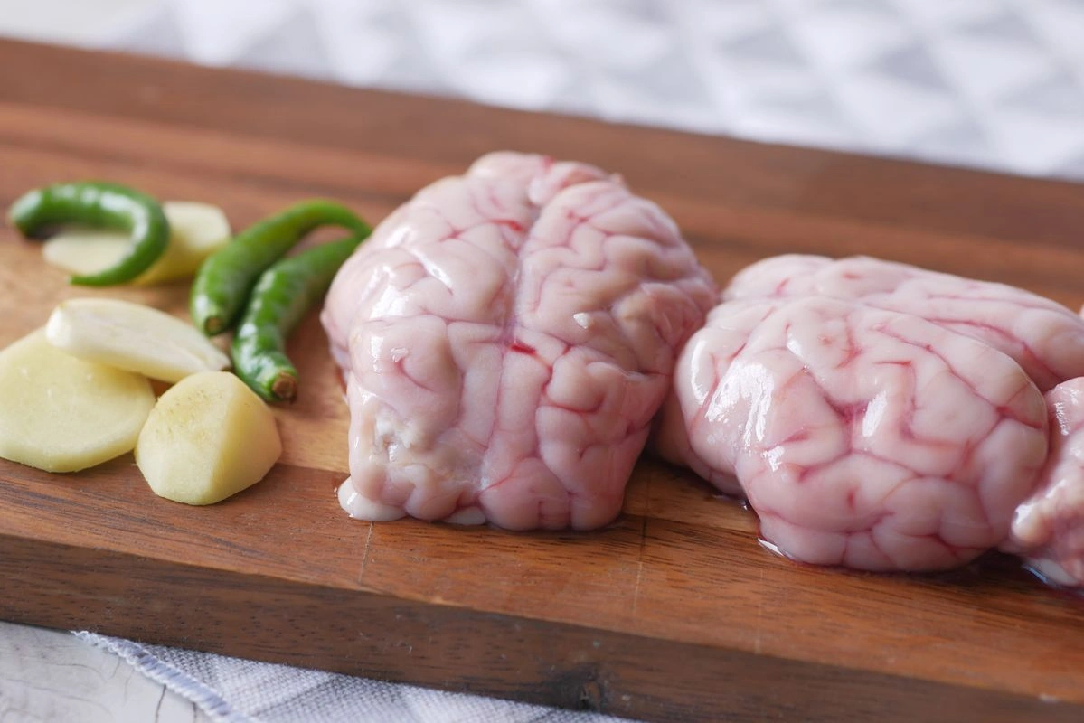 Brain
