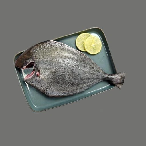 Black Pomfret